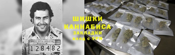 ECSTASY Богородицк
