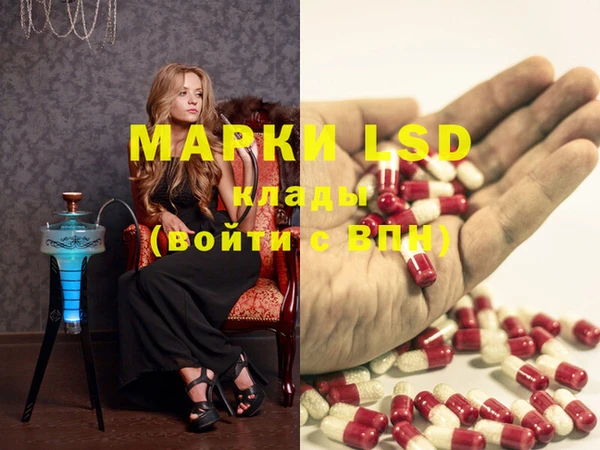 ECSTASY Богородицк