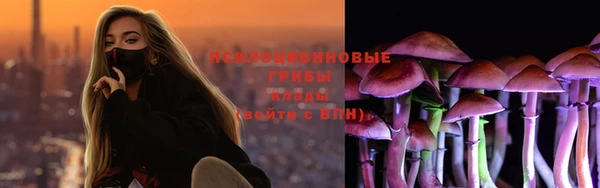 героин Богданович