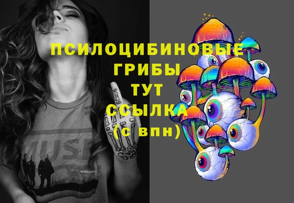 ECSTASY Богородицк