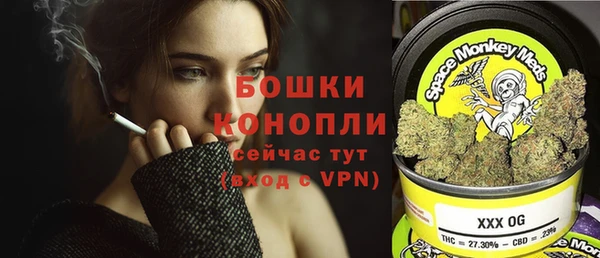 PSILOCYBIN Богородск